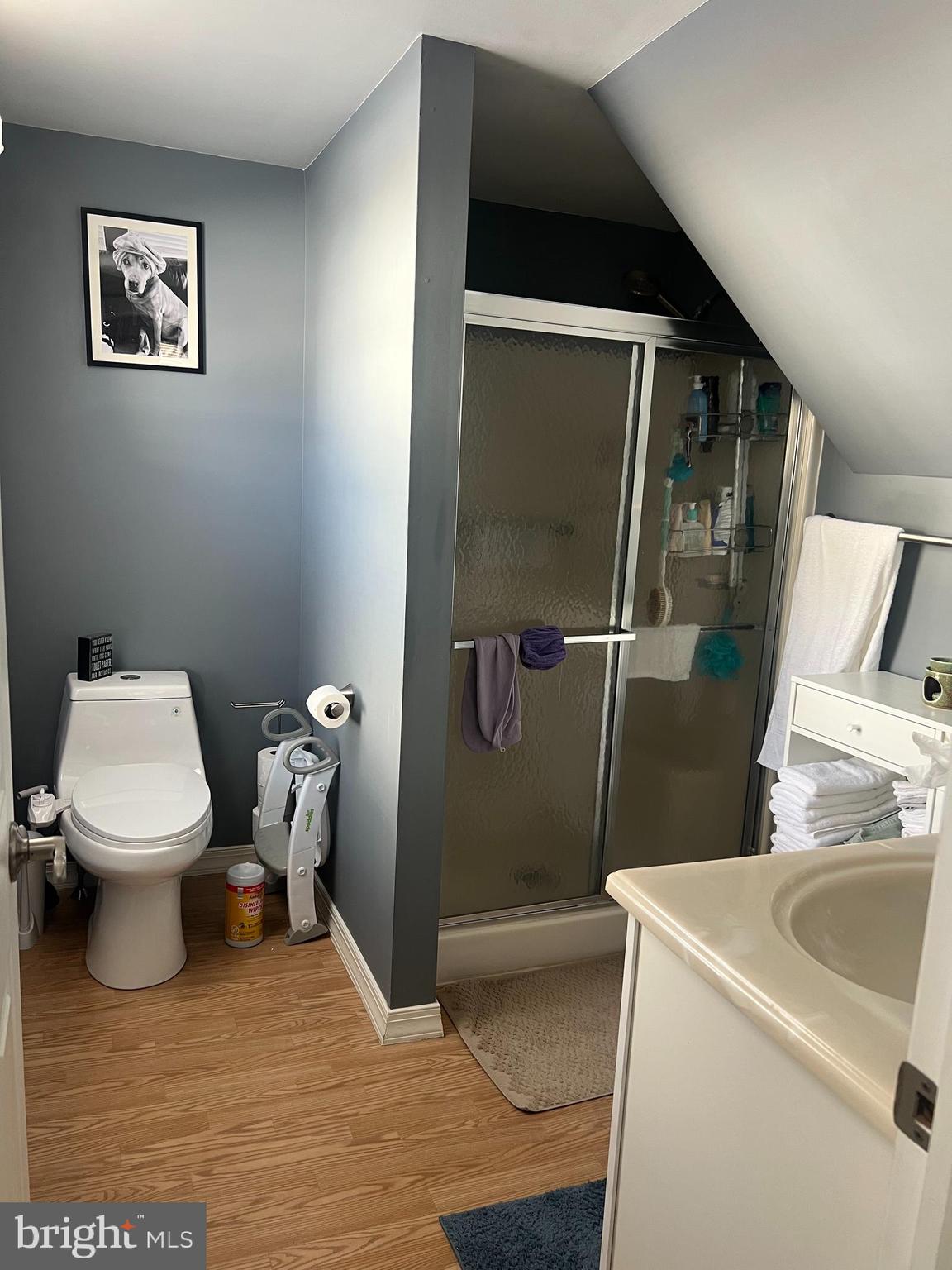 47 South Lippincott Avenue Maple Shade, NJ 08052 - Photo 10 of 24 a bathroom with a toilet and a shower