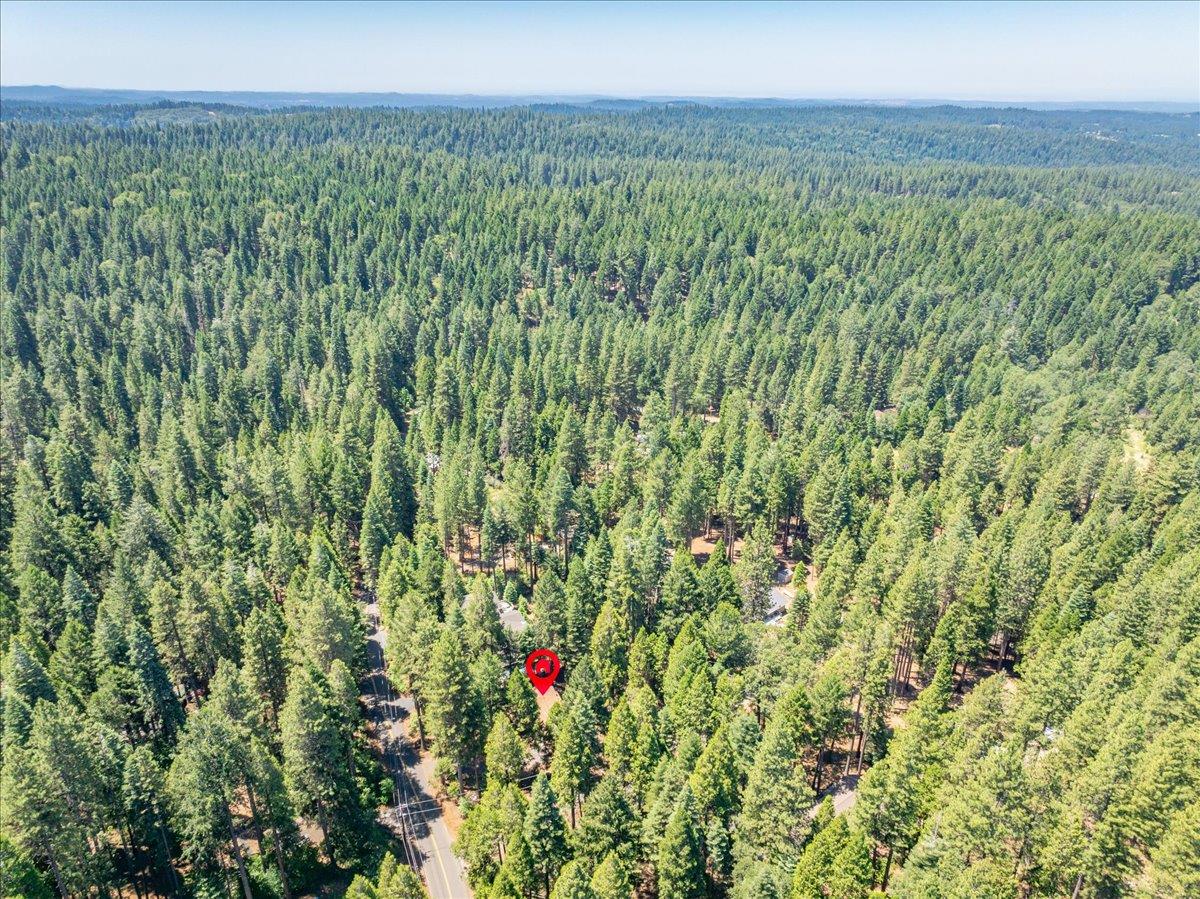 2226 Blair Road Pollock Pines, CA 95726 - Photo 53 of 58