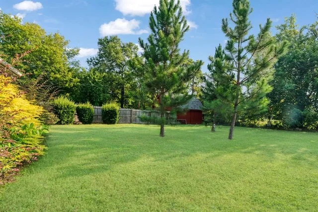 a grassy field with some trees in the background