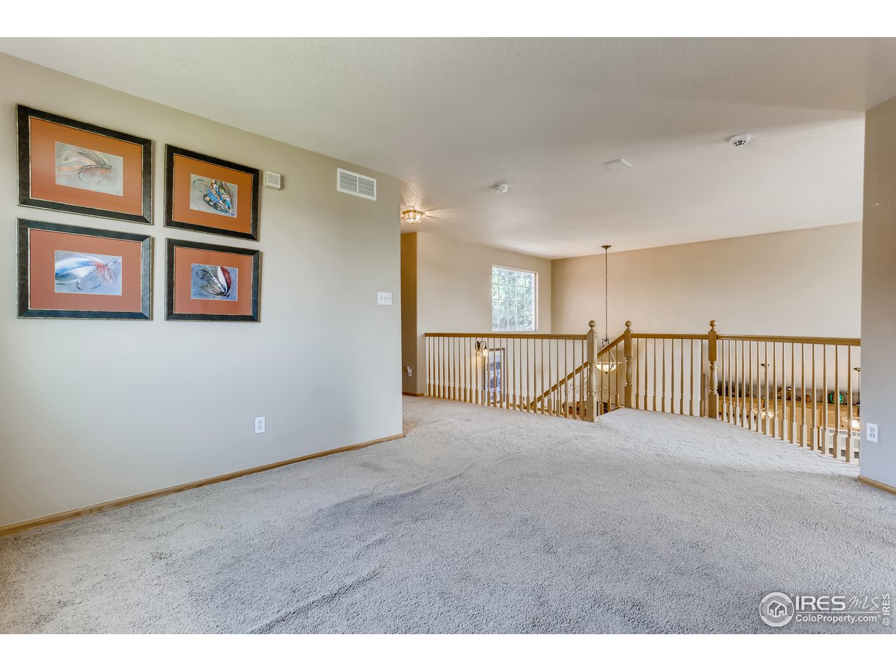 10939 Ebony Street Firestone, CO 80504 - Photo 20 of 31