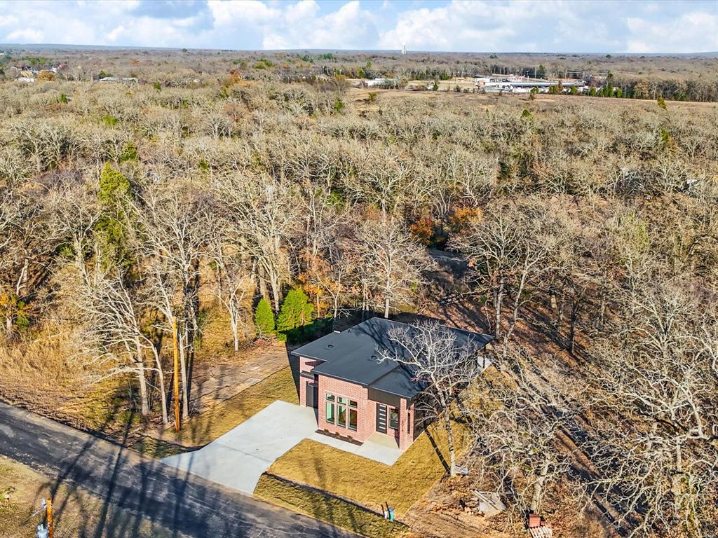 5018 Point La Vista Road Malakoff, TX 75148 - Photo 25 of 32 Aerial view