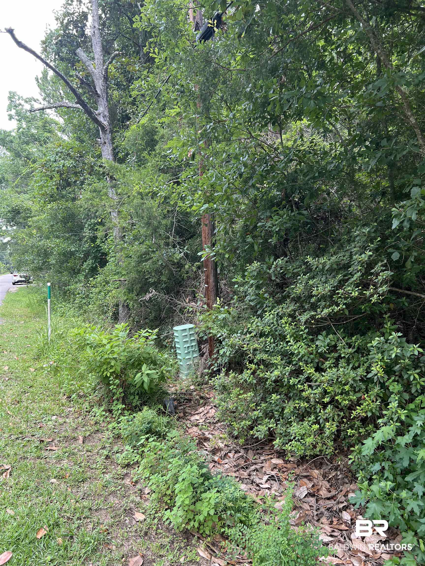 6789 Bay Road Mobile, AL 36605 - Photo 3 of 12 View of nature