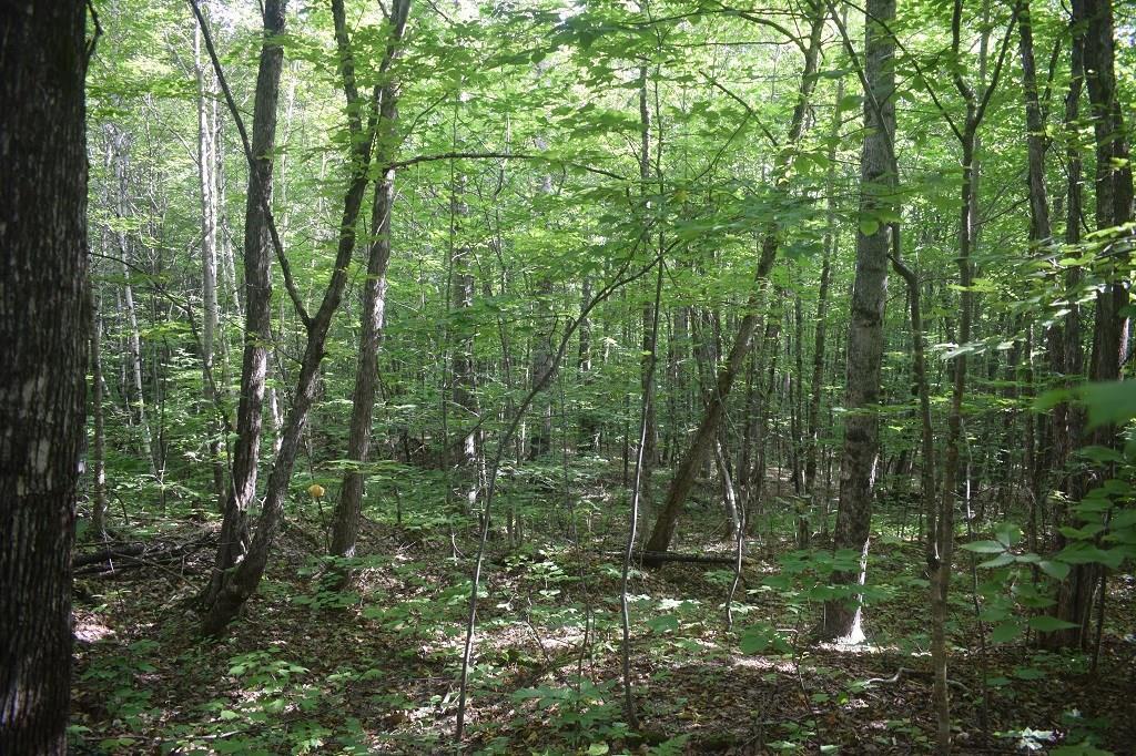 M11-l20-a Burns Road Anson, ME 04911 - Photo 7 of 12 Photo