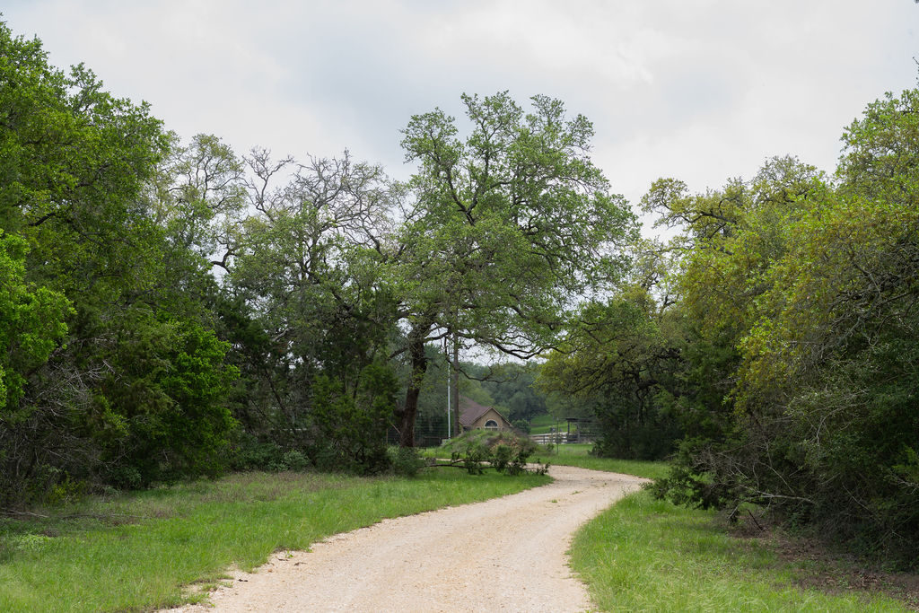 426 Mill Run New Braunfels, TX 78132 - Photo 19 of 40 a view of a park with large trees