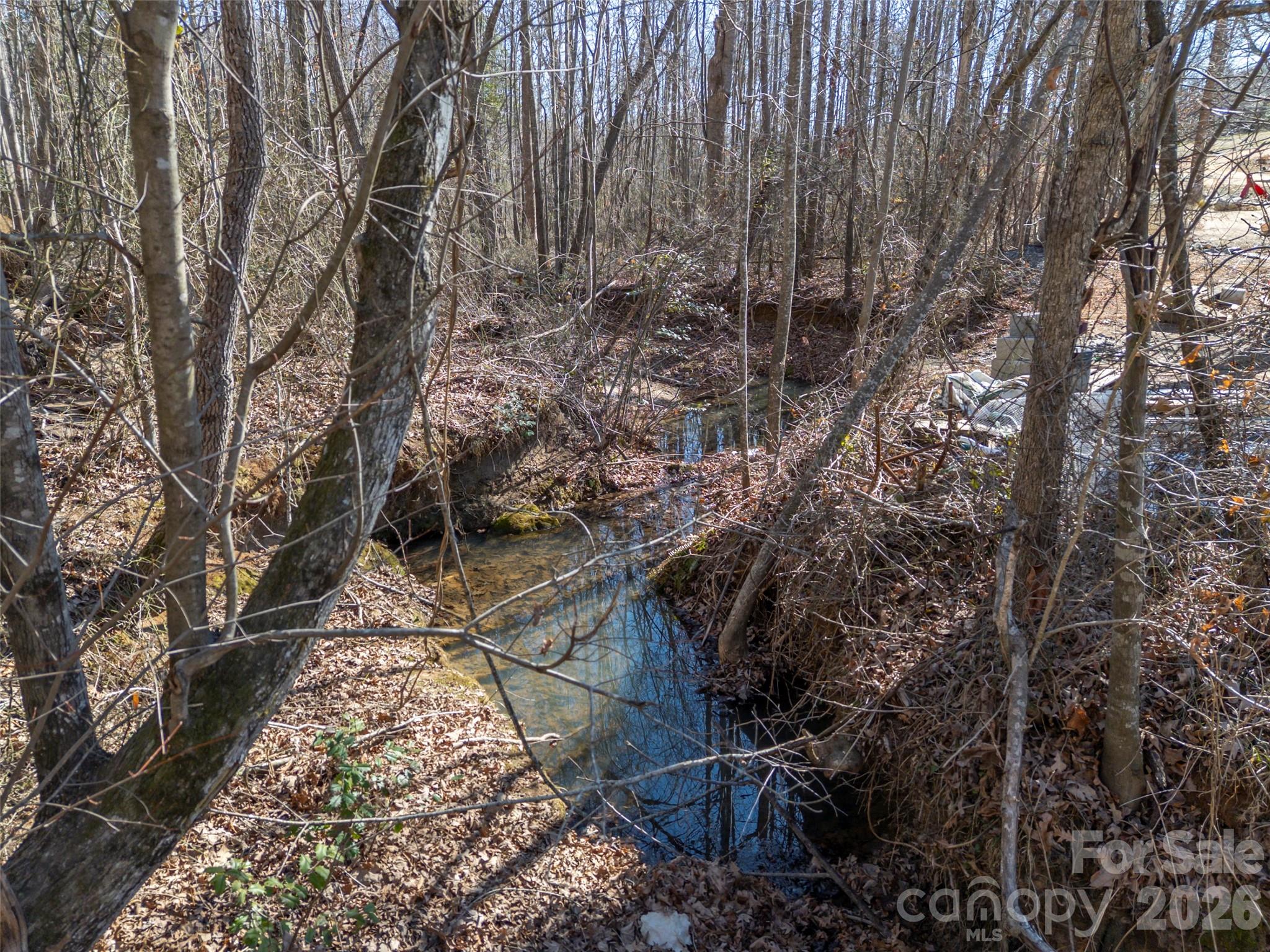 873 Ellenboro Henrietta Road Ellenboro, NC 28040 - Photo 47 of 48 a view of a yard with plants and trees