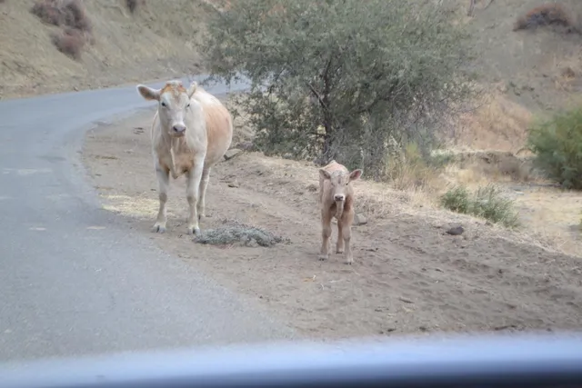 $450,000 | 41346 South Coalinga Mineral Springs Road, Coalinga, CA 93210