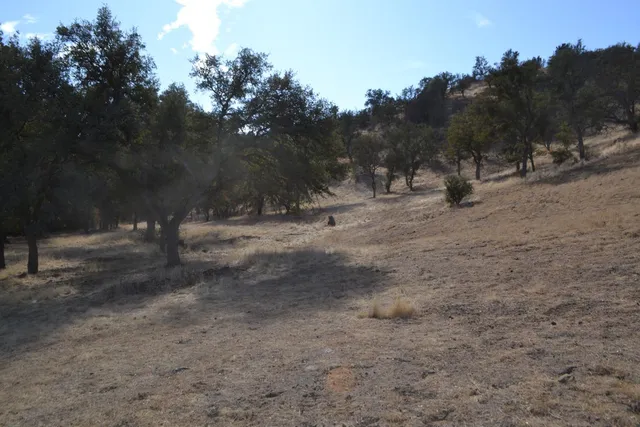 $450,000 | 41346 South Coalinga Mineral Springs Road, Coalinga, CA 93210