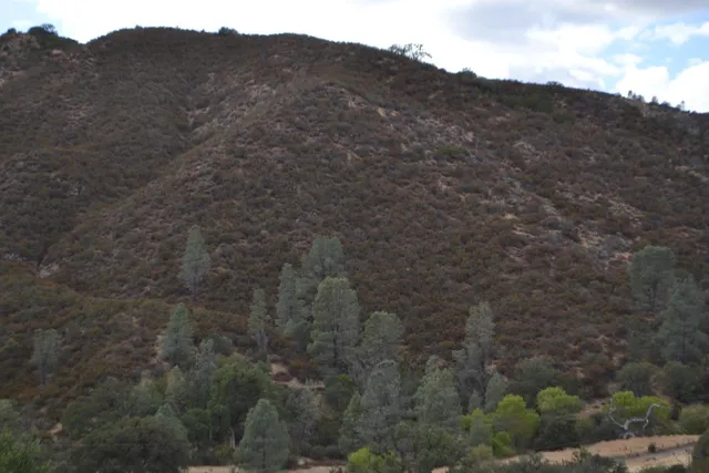 $450,000 | 41346 South Coalinga Mineral Springs Road, Coalinga, CA 93210