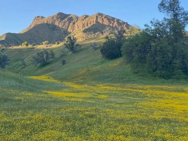 $450,000 | 41346 South Coalinga Mineral Springs Road, Coalinga, CA 93210