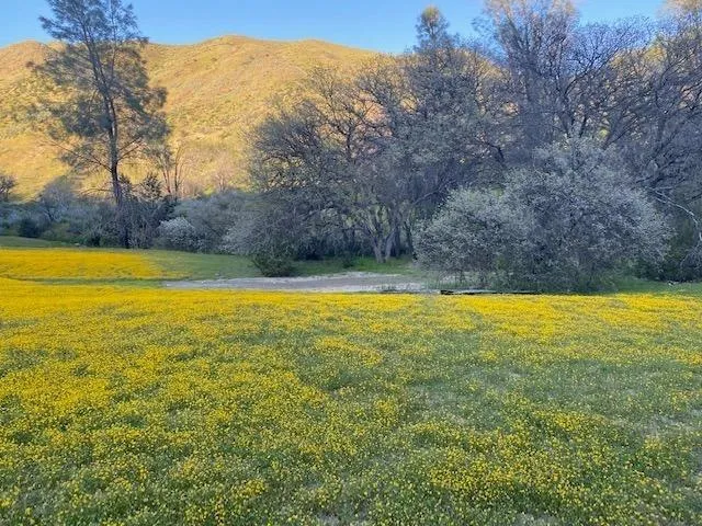$450,000 | 41346 South Coalinga Mineral Springs Road, Coalinga, CA 93210
