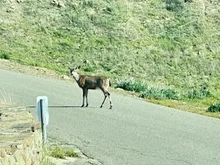 $450,000 | 41346 South Coalinga Mineral Springs Road, Coalinga, CA 93210