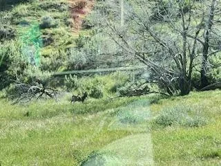 $450,000 | 41346 South Coalinga Mineral Springs Road, Coalinga, CA 93210