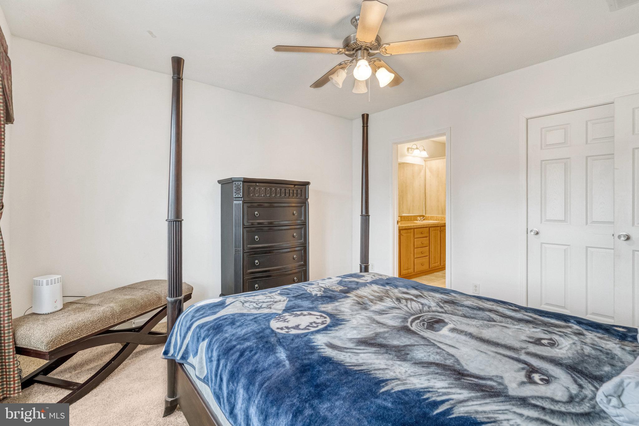 14504 Trans World Avenue Chantilly, VA 20151 - Photo 16 of 34 Primary suite with ceiling fan