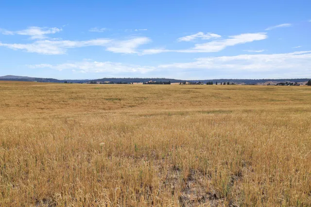 $415,000 | 8054 East Mt Spokane Park Drive, Mead, WA 99021