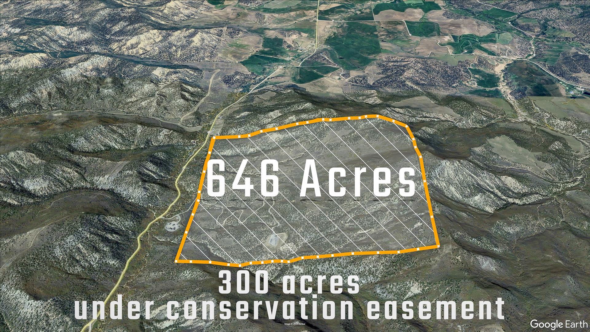 342 County Road 342 Collbran, CO 81624 - Photo 11 of 20 a view of a tree front of a house