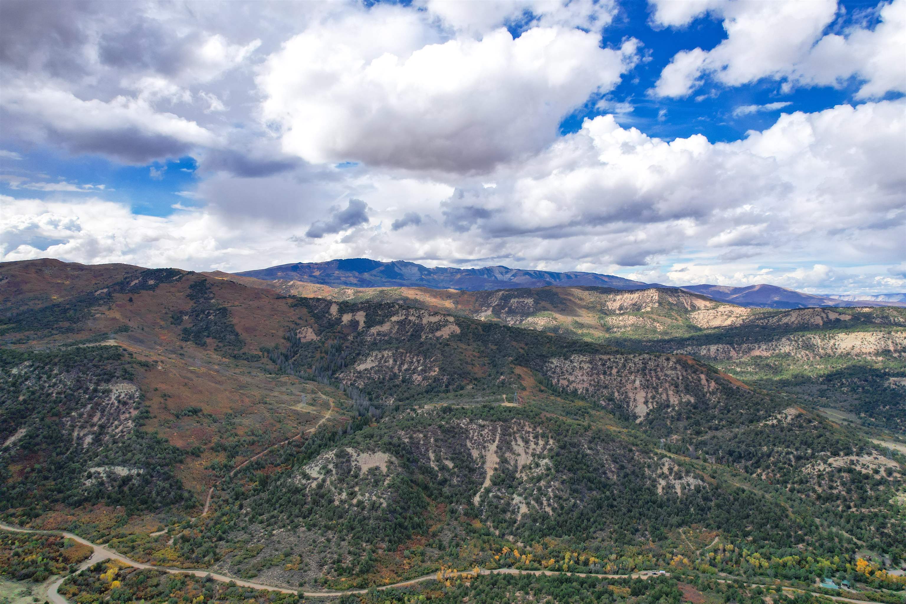 342 County Road 342 Collbran, CO 81624 - Photo 15 of 20
