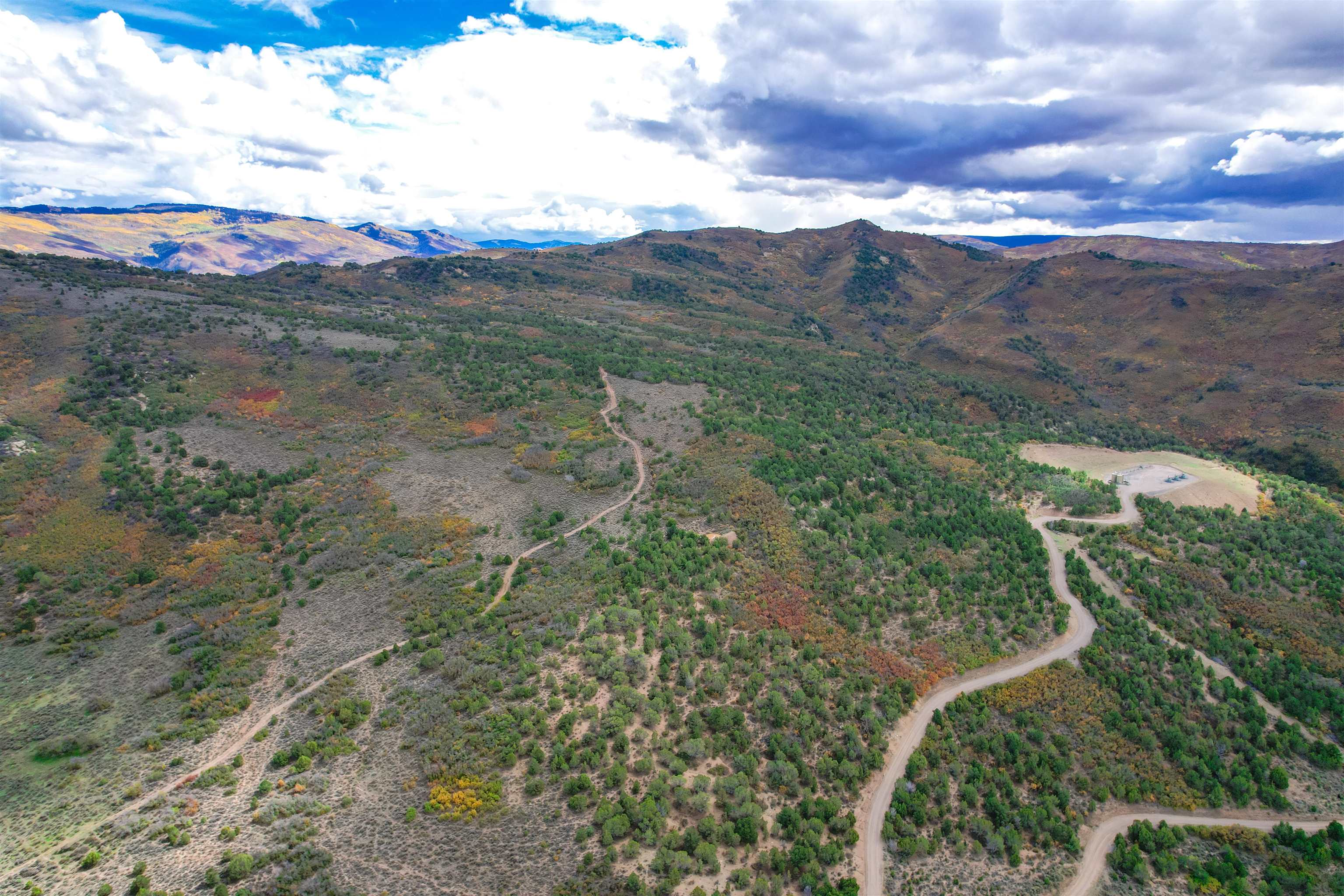 342 County Road 342 Collbran, CO 81624 - Photo 18 of 20