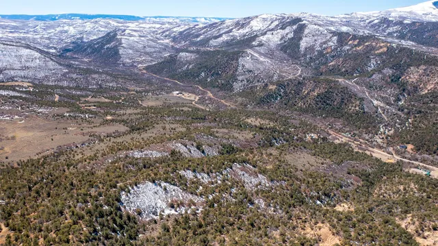 a view of a dry yard with large trees