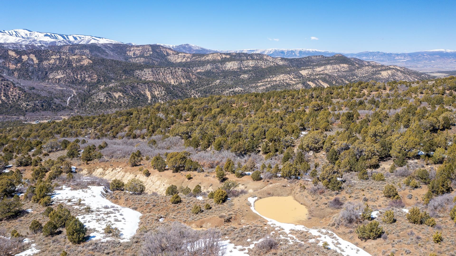 342 County Road 342 Collbran, CO 81624 - Photo 3 of 20 a view of city and mountain