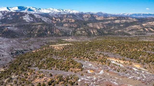 a view of a dry yard with mountains in the background