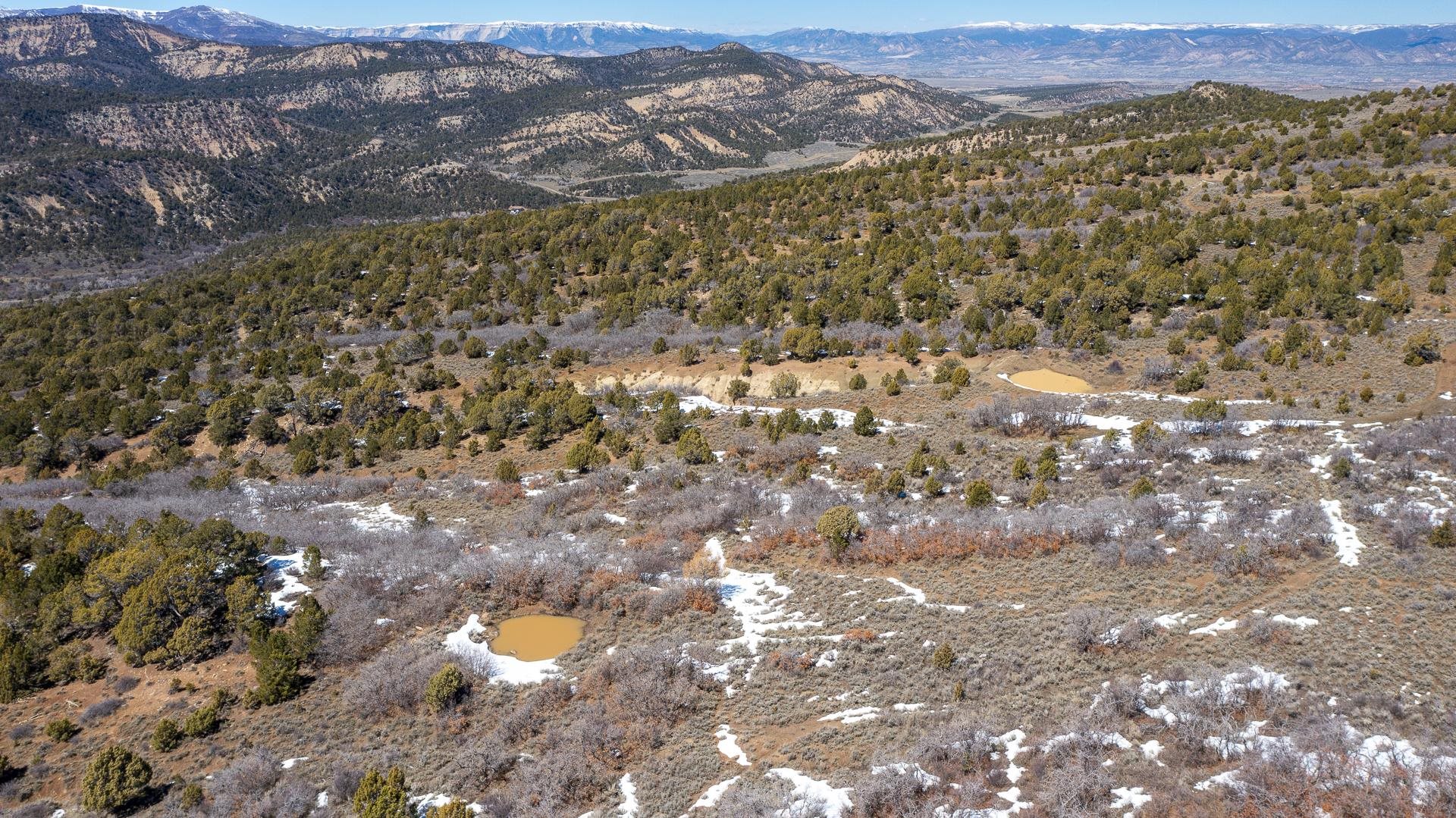 342 County Road 342 Collbran, CO 81624 - Photo 5 of 20