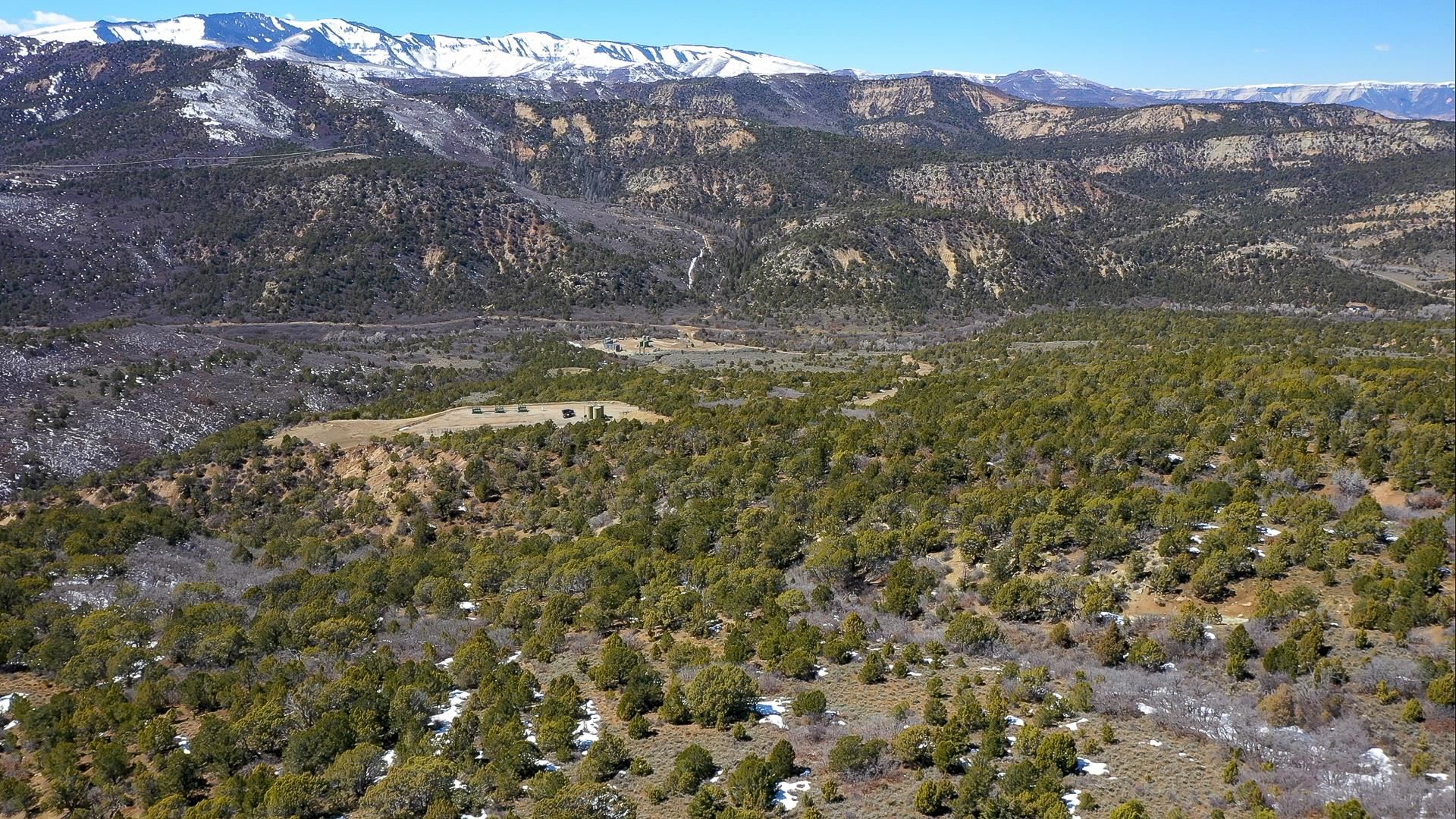 342 County Road 342 Collbran, CO 81624 - Photo 8 of 20