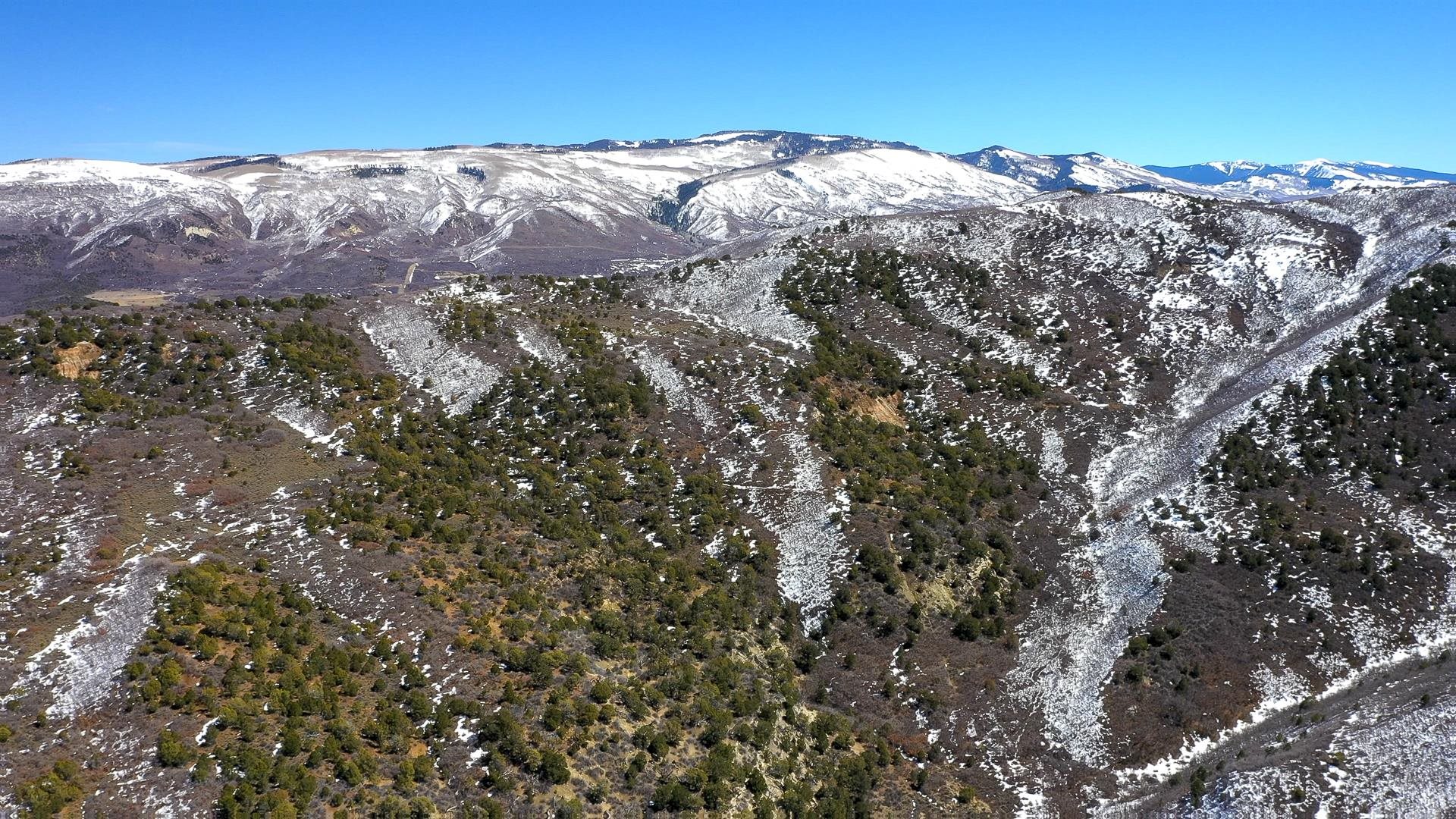 342 County Road 342 Collbran, CO 81624 - Photo 9 of 20 a view of a large window with some trees in the background