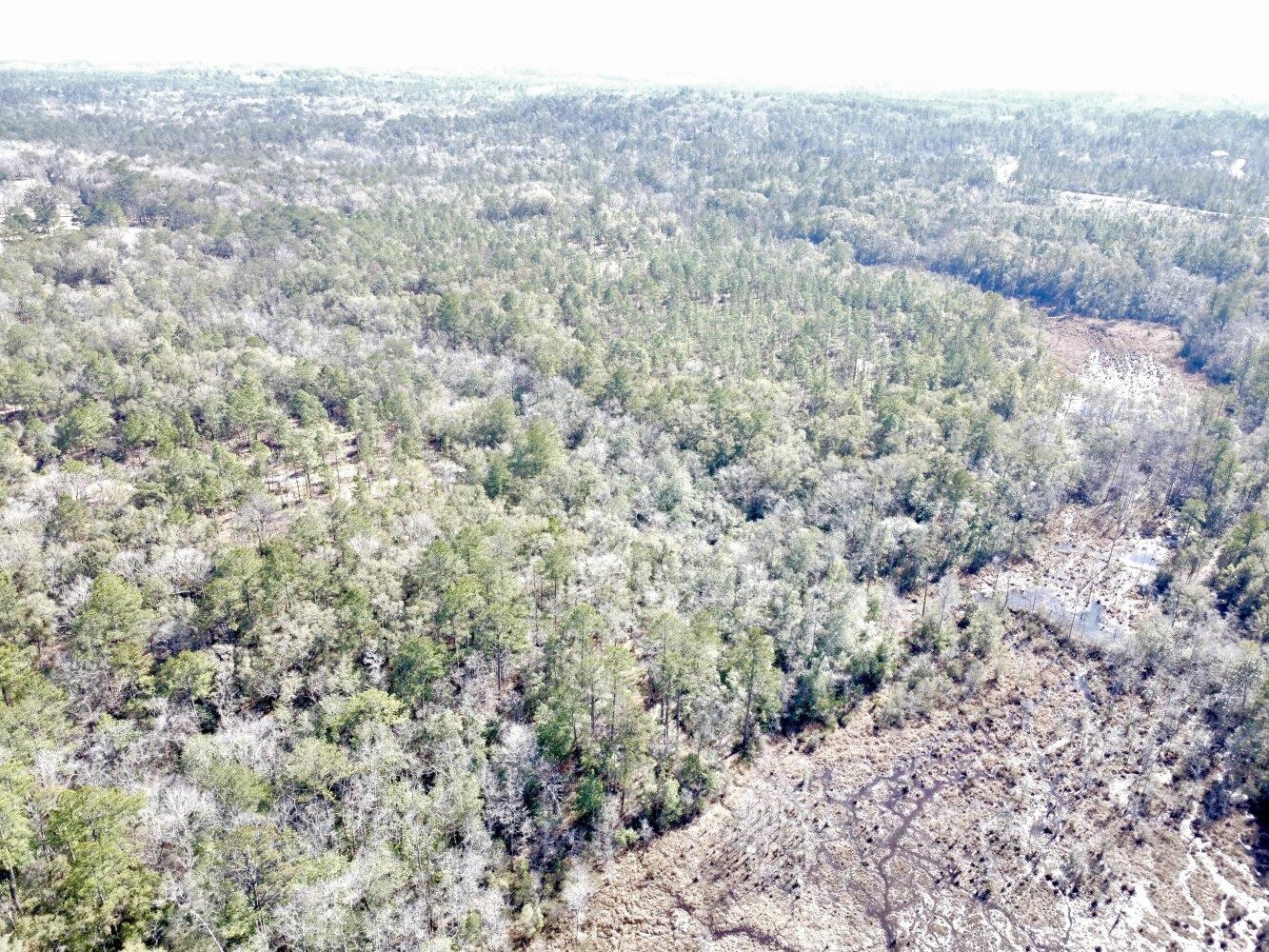 0 Dixon Road Bay Minette, AL 36507 - Photo 9 of 50