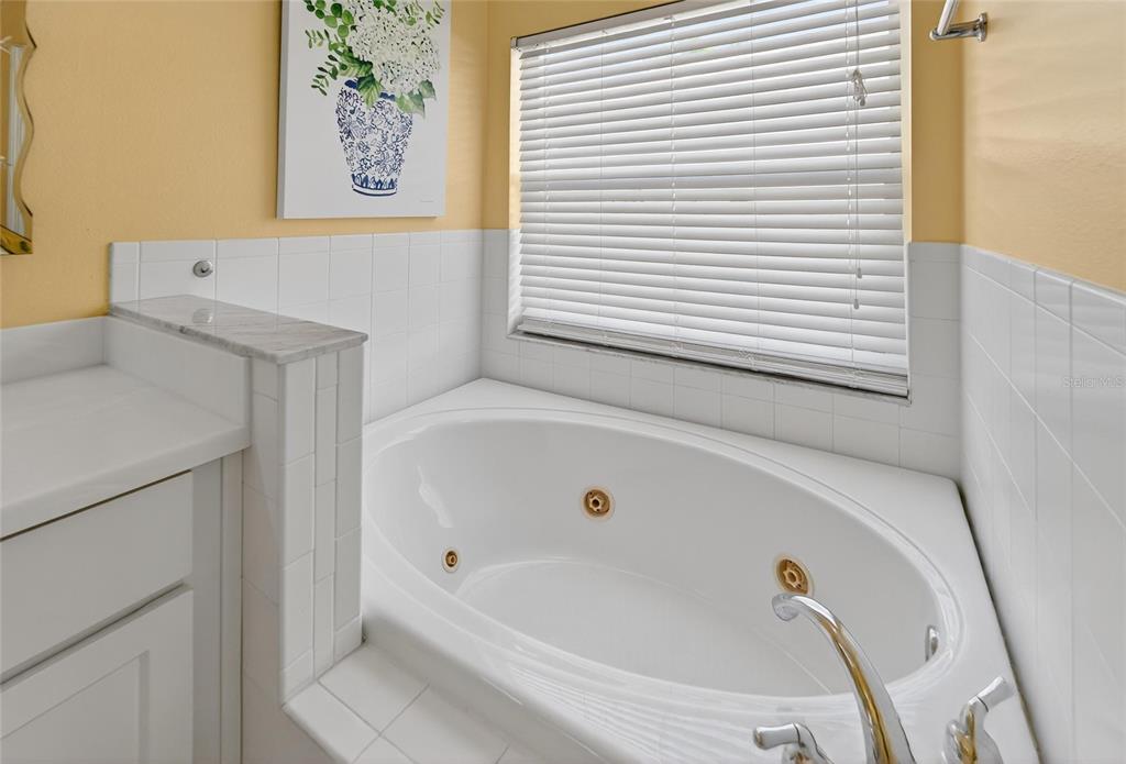 1615 Oracle Drive Ruskin, FL 33573 - Photo 46 of 87 a bathroom with a bathtub and a window