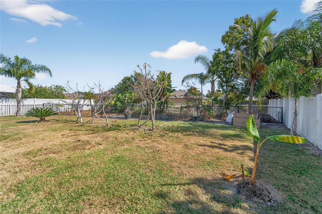 1615 Oracle Drive Ruskin, FL 33573 - Photo 73 of 87 a view of a yard with a slide