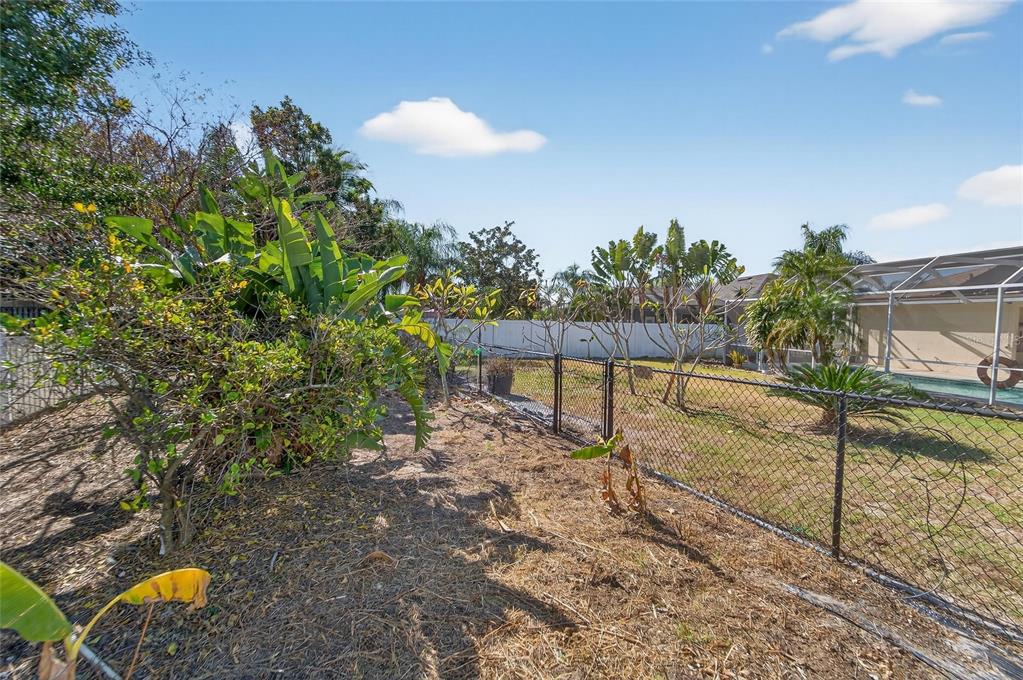1615 Oracle Drive Ruskin, FL 33573 - Photo 76 of 87 a view of a backyard