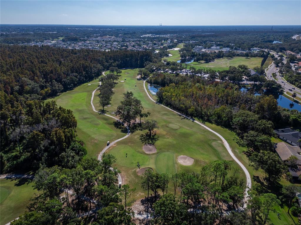 1615 Oracle Drive Ruskin, FL 33573 - Photo 87 of 87 an aerial view of residential houses with outdoor space