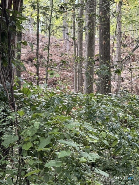 0 Cold Spring Road East Haddam, CT 06423 - Photo 21 of 22 Cleared and thinned wooded areas at back.