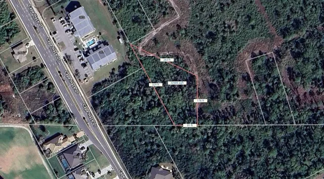 a view of a tree with a tree