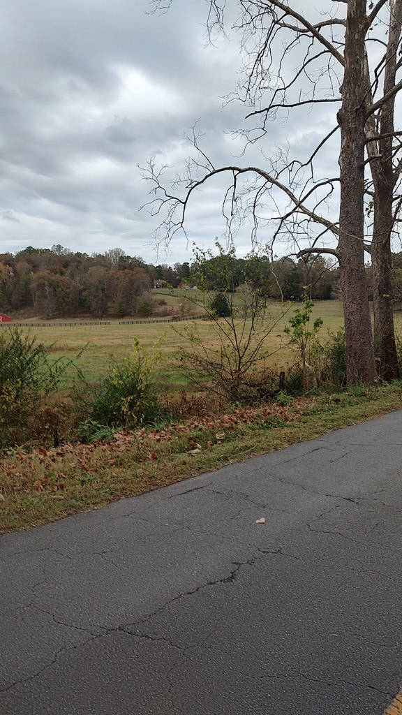 226 East Damascus Church Road Northeast Ranger, GA 30734 - Photo 5 of 13 Gallery Image 5