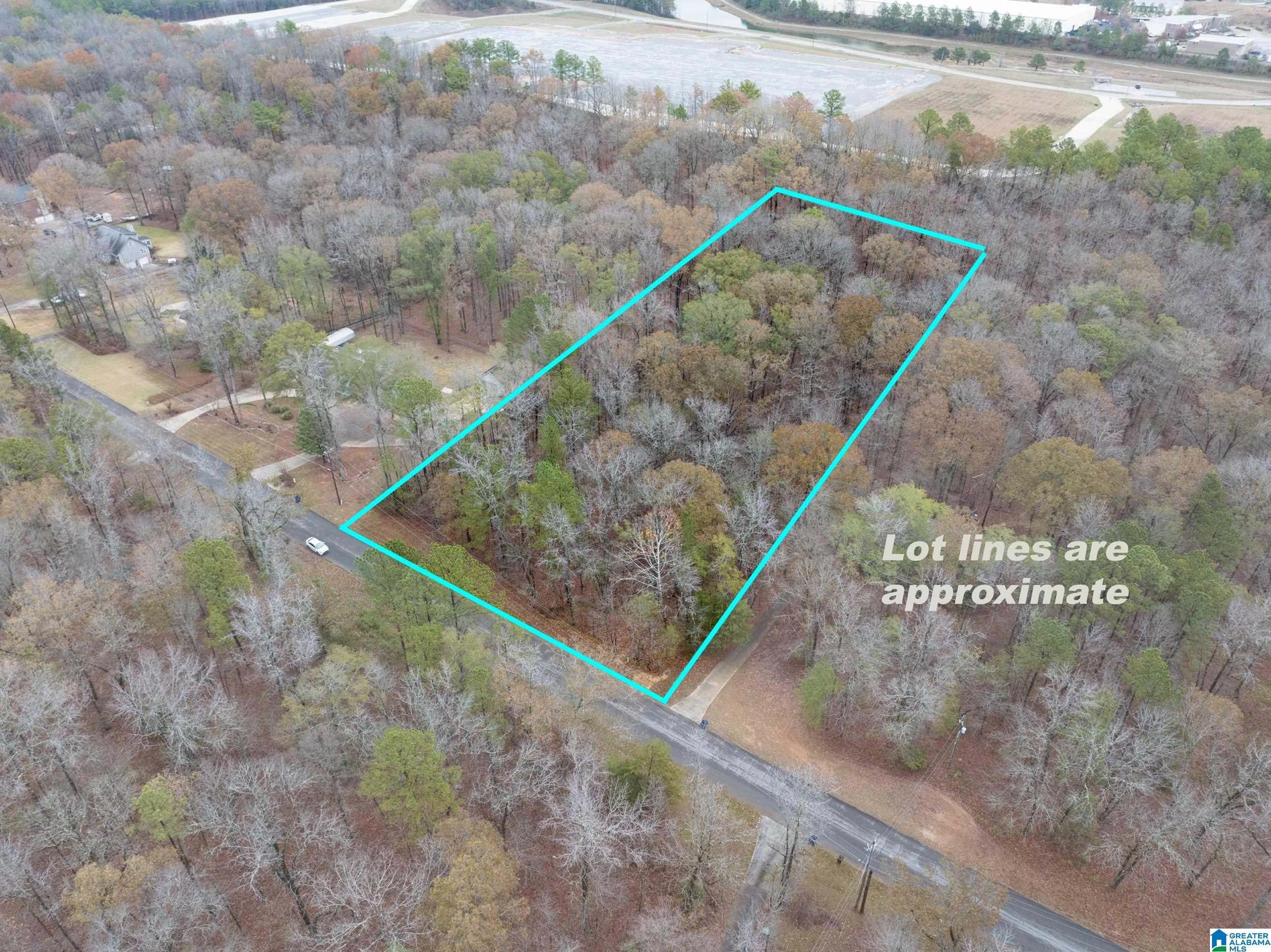 145 Chestnut Drive, Unit 1 Alabaster, AL 35007 - Photo 2 of 6