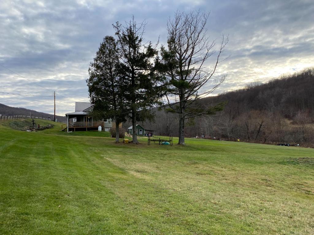 9543 County Highway Franklin, NY 13775 - Photo 11 of 49