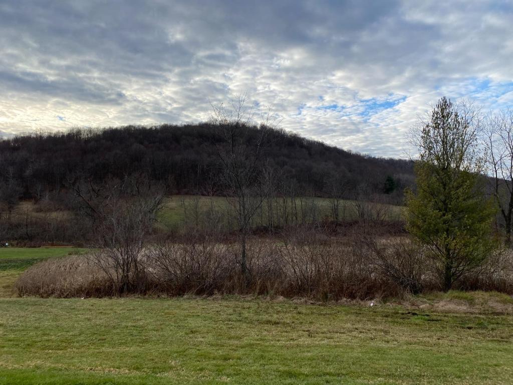 9543 County Highway Franklin, NY 13775 - Photo 12 of 49