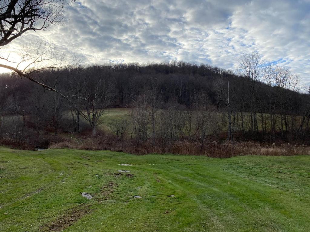 9543 County Highway Franklin, NY 13775 - Photo 13 of 49