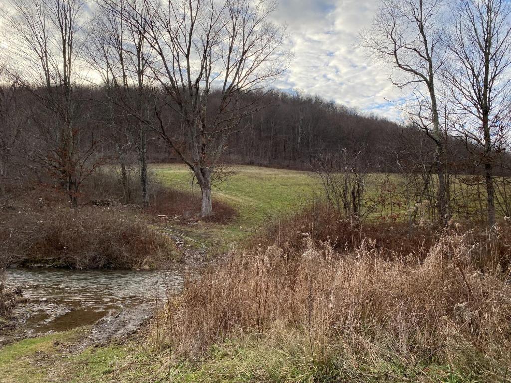 9543 County Highway Franklin, NY 13775 - Photo 14 of 49