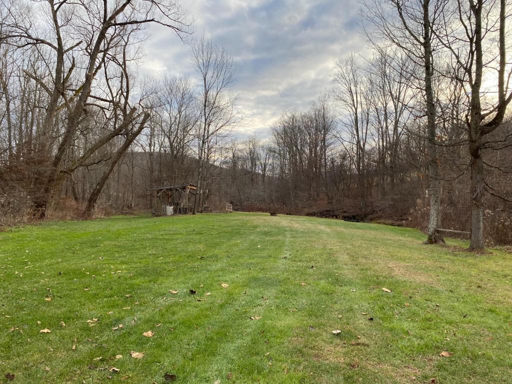 9543 County Highway Franklin, NY 13775 - Photo 17 of 49