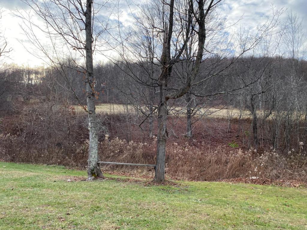 9543 County Highway Franklin, NY 13775 - Photo 19 of 49