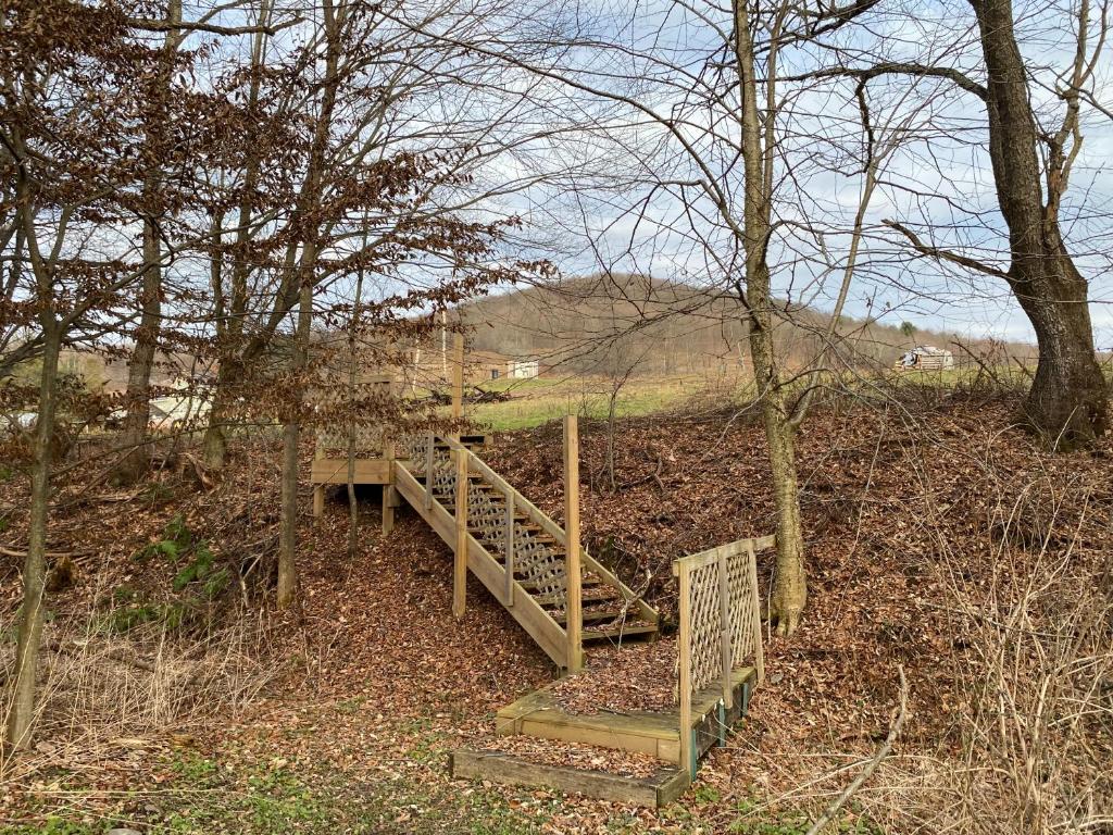 9543 County Highway Franklin, NY 13775 - Photo 23 of 49