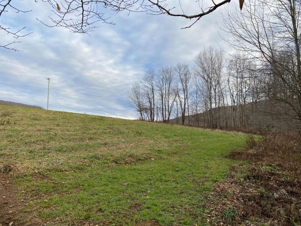 9543 County Highway Franklin, NY 13775 - Photo 24 of 49