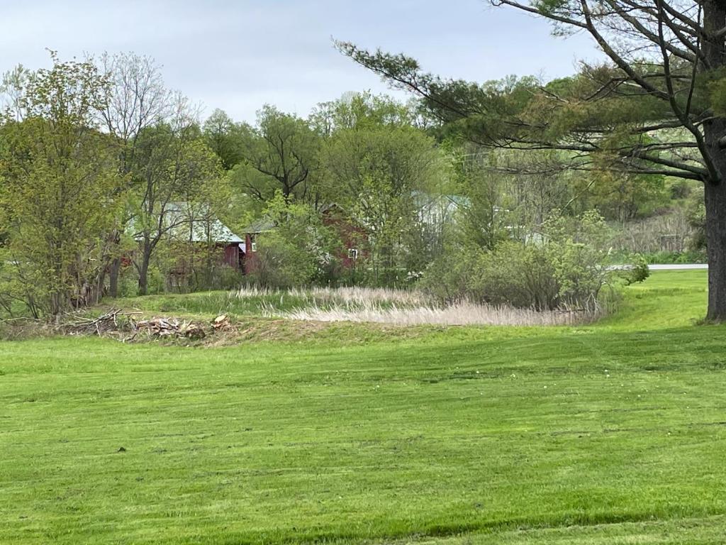 9543 County Highway Franklin, NY 13775 - Photo 6 of 49