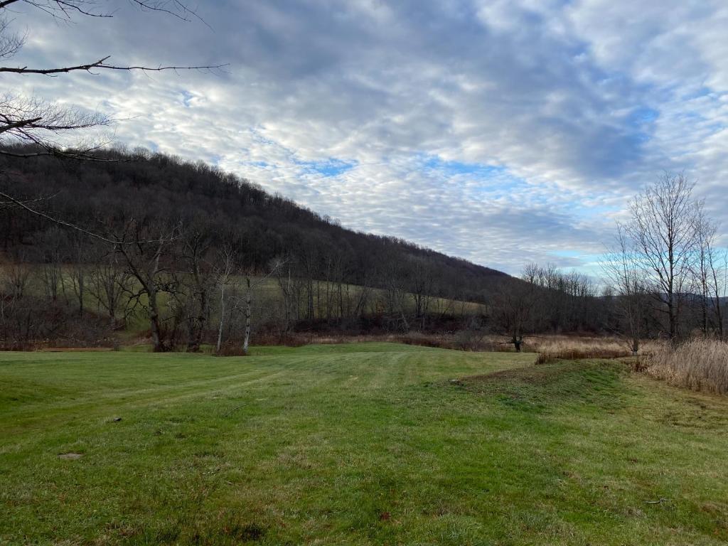 9543 County Highway Franklin, NY 13775 - Photo 8 of 49