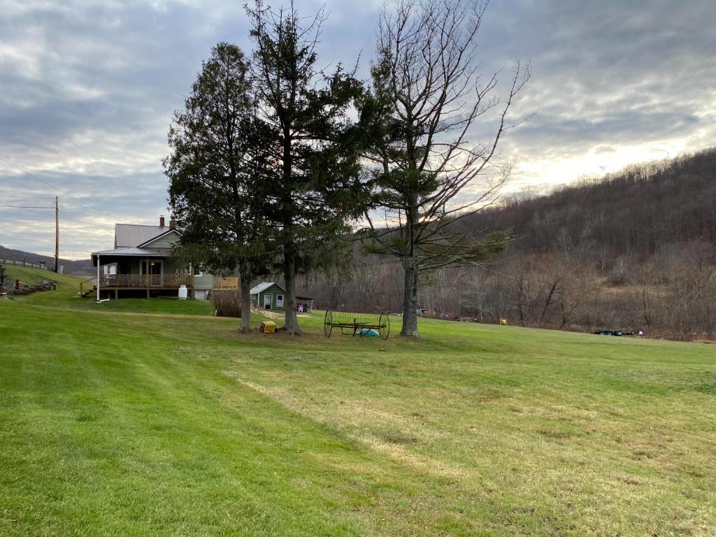 9543 County Highway Franklin, NY 13775 - Photo 9 of 49