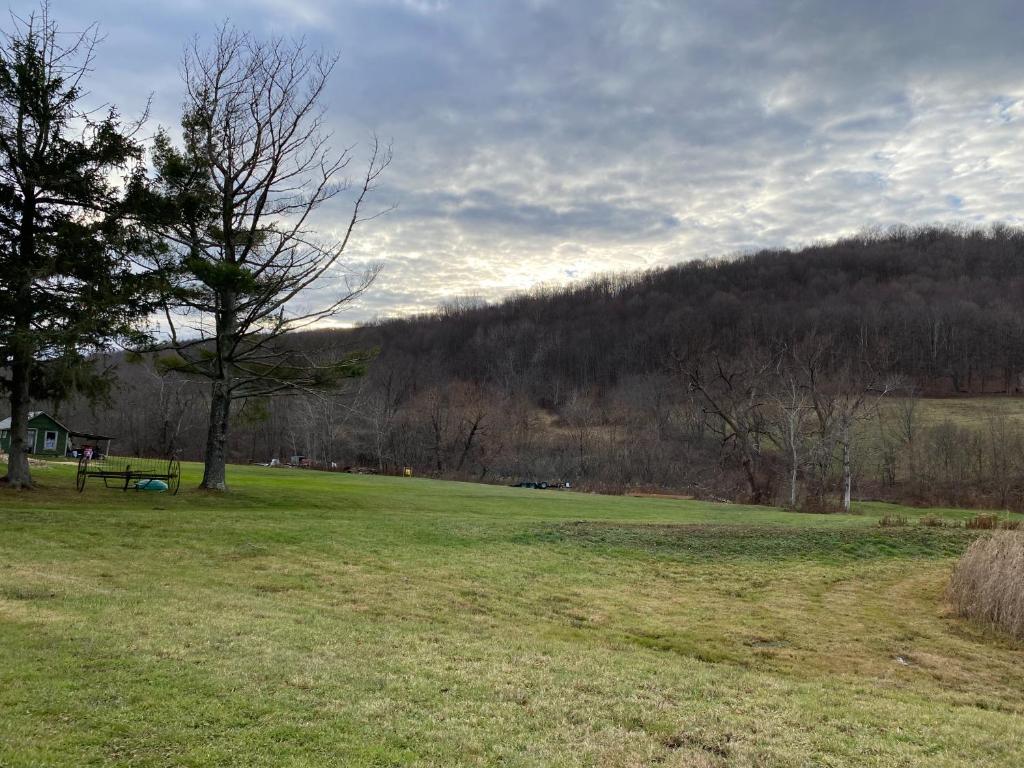 9543 County Highway Franklin, NY 13775 - Photo 10 of 49