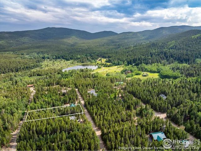 a view of a lush green forest with a houses