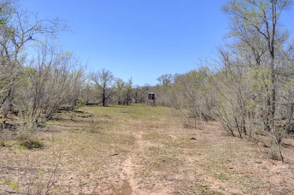 a view of dirt field with trees